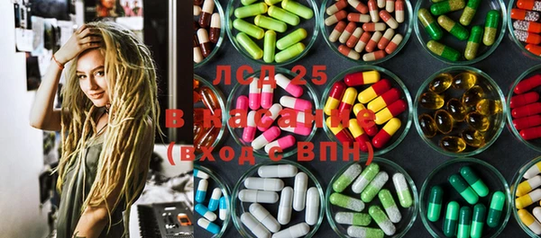 PSILOCYBIN Богородицк