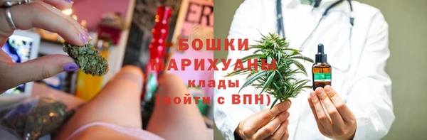 гашиш Богданович