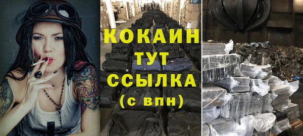сатива Белоозёрский