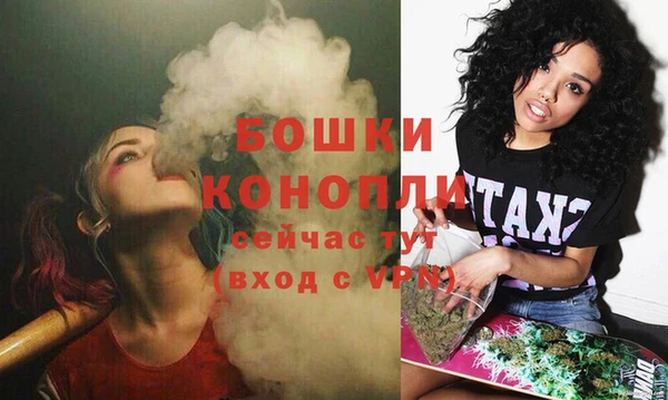 сатива Белоозёрский