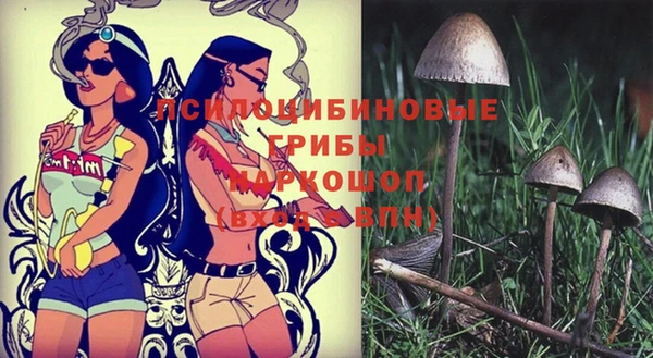 спиды Беломорск