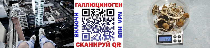 Галлюциногенные грибы Psilocybine cubensis  магазин    Шилка 