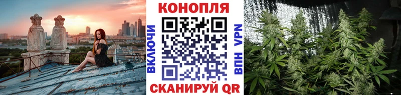 МАРИХУАНА SATIVA & INDICA  дарнет шоп  ссылка на мегу ССЫЛКА  Шилка 